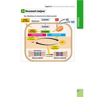 ABC BAC Excellence Sciences et Vie de la Terre Term