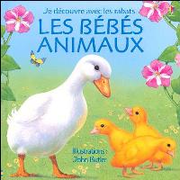 Bebes animaux
