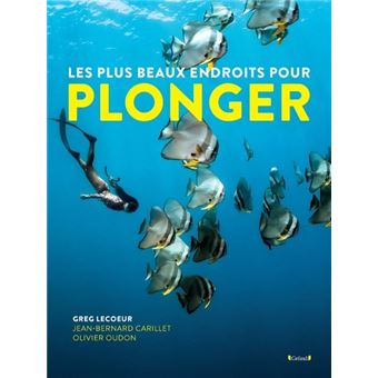 Les plus beaux endroits pour Plonger