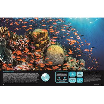 Les plus beaux endroits pour Plonger