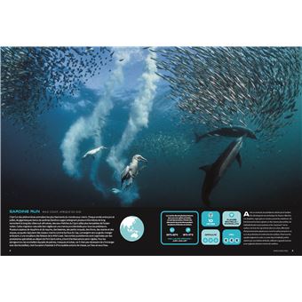 Les plus beaux endroits pour Plonger