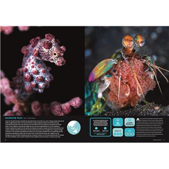 Les plus beaux endroits pour Plonger