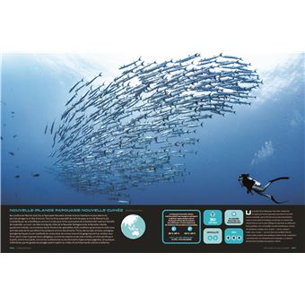 Les plus beaux endroits pour Plonger