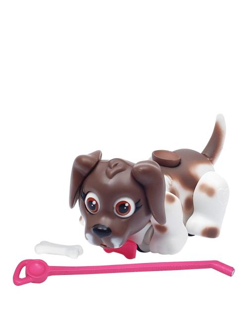 Chien Pointer Danois Pet Parade avec os et laisse