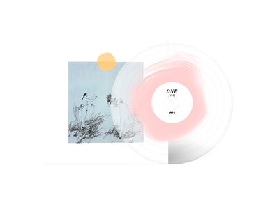 Lost In The Country Edition Collector Vinyle Coloré