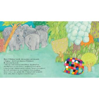 L'anniversaire d'elmer