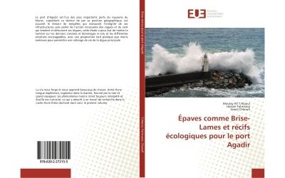 Epaves comme Brise-lames et récifs écologiques pour le port Agadir