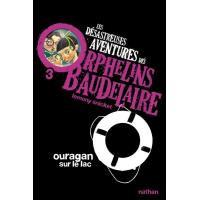 Les Desastreuses Aventures Des Orphelins Baudelaire Hors Serie Livre Blanc Des Idees Noires Lemony Snicket Brett Helquist Brett Helquist Broche Achat Livre Fnac