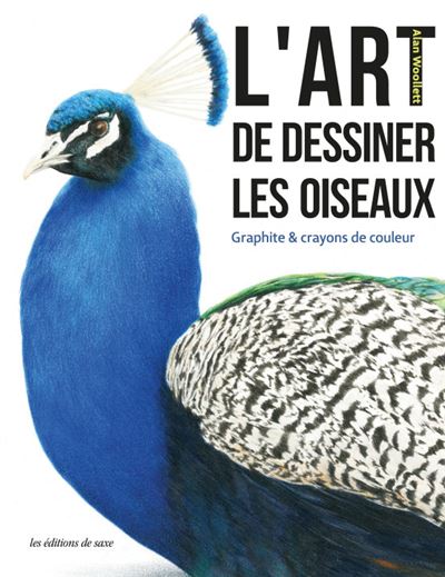 L'art de dessiner des oiseaux