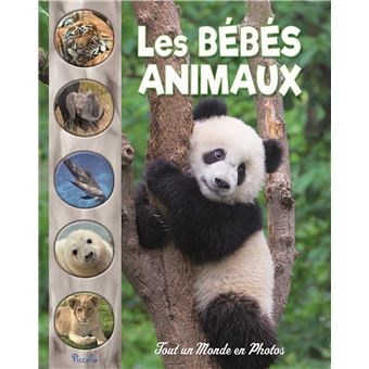 Les bébés animaux