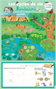 Les posters effaçables - Les cycles de vie Montessori