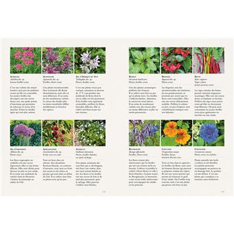 Tout cuisiner au jardin