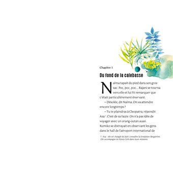 Kinra Girls -  Destination Mystère  - Danger dans la jungle  - Tome 3