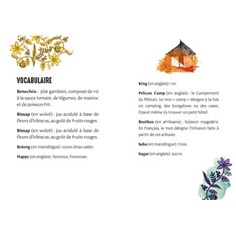 Kinra Girls -  Destination Mystère  - Danger dans la jungle  - Tome 3