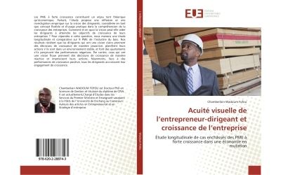 Acuité visuelle de l'entrepreneur-dirigeant et croissance de l'entreprise