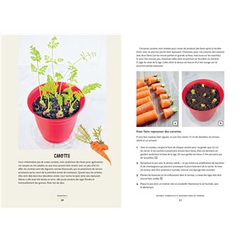 Des légumes qui poussent dans ma cuisine