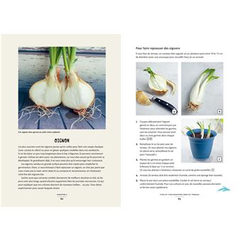 Des légumes qui poussent dans ma cuisine