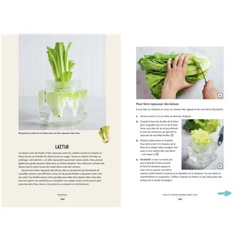 Des légumes qui poussent dans ma cuisine