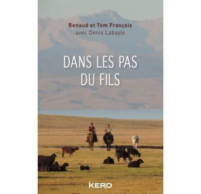 Dans les pas du fils - Denis Labayle - broché