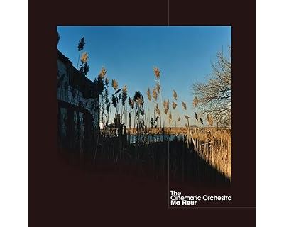 Ma fleur - Cinematic Orchestra - Vinyle album - Achat & prix | fnac