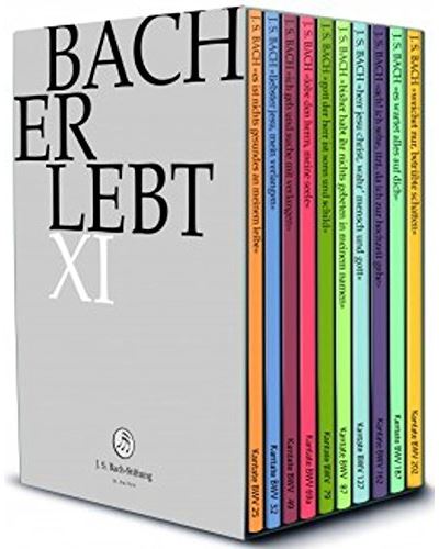 Bach Erlebt XI DVD