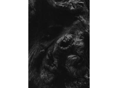 Steinechhe/digipack