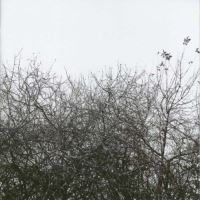 Lost with the lights on