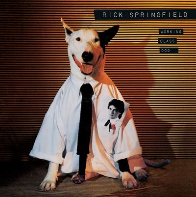Working class dog/vinyle couleur