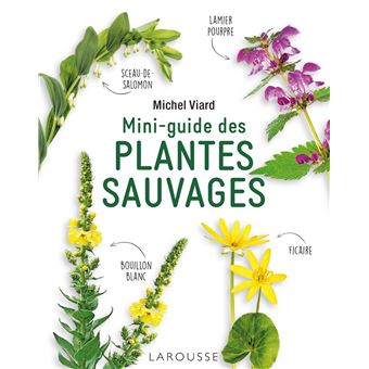 Mini-guide des plantes sauvages