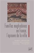Familles maghrébines en France