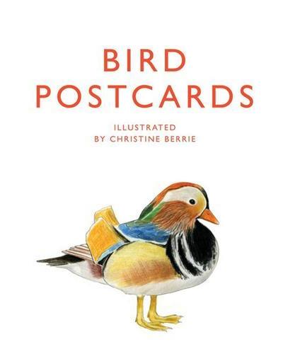 BIRD POSTCARDS