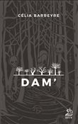 Dam'