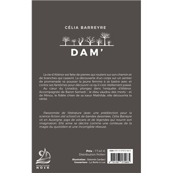 Dam'
