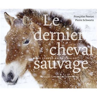 Résultat de recherche d'images pour "le dernier cheval sauvage livre editions Belin"