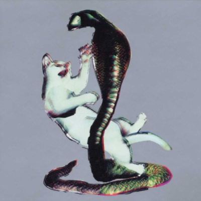 THE CAT AND THE COBRA