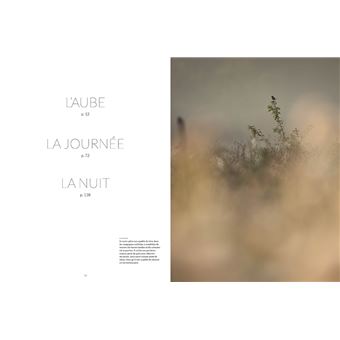 La Nature à 200 m de chez moi