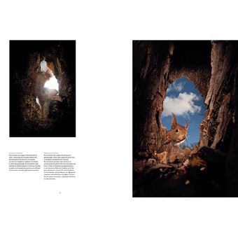 La Nature à 200 m de chez moi