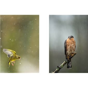 La Nature à 200 m de chez moi