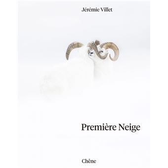 Première neige - cartonné - Jérémie Villet - Achat Livre | fnac
