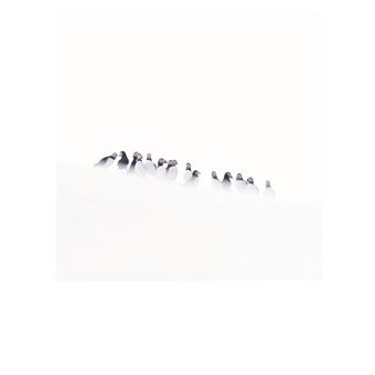 Première neige