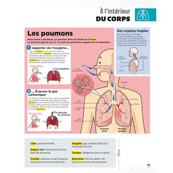 Le Petit Quotidien - L'encyclopédie visuelle - Corps humain