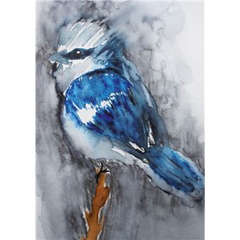 Atelier Dessin Aquarelle