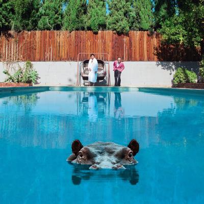 Hippopotamus Edition limitée Picture Disc