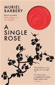 A Single Rose
