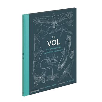 En vol - ces animaux ailés qui battent des records