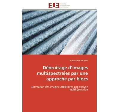 Débruitage d images multispectrales par une approche par blocs