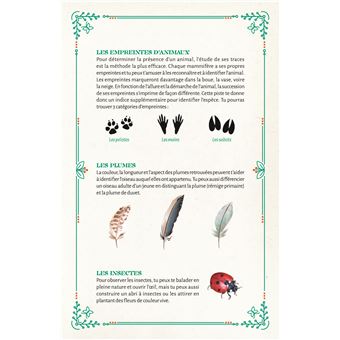 Mon carnet découvertes nature