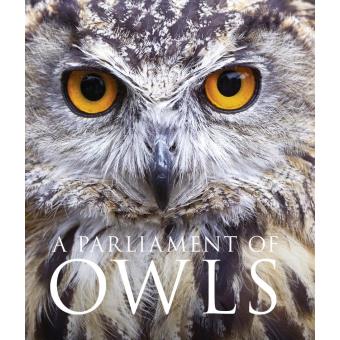 A Parliament of Owls - 1