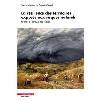 La résilience des territoires exposés aux risques naturels
