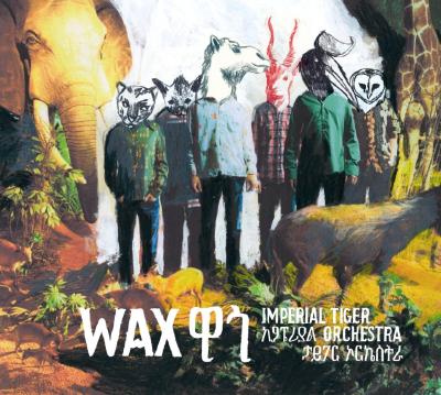 Wax | Imperial Tiger Orchestra. Musicien